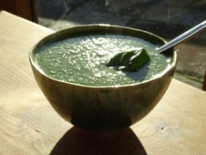brocoli-soup