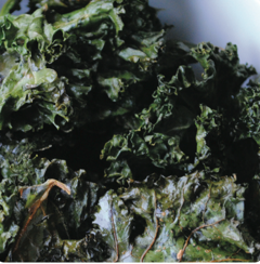 kale-crisps