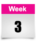 week 3