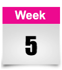 week 5