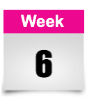 week 6