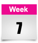 week 7