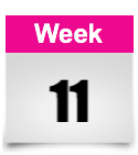 week 11