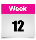 week 12