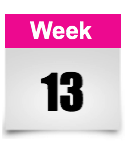 week 13