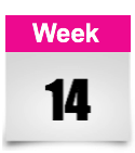 week 14