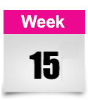 week 15