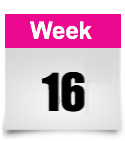 week 16