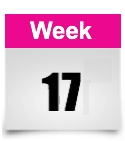 week 17