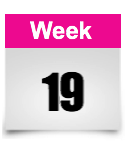 week 19