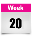 week 20