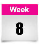 week 8